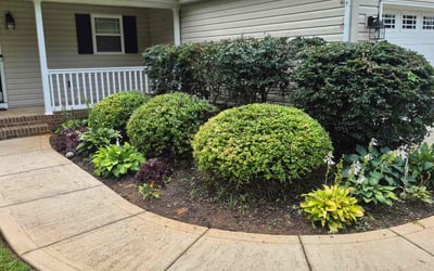 Photo of Frank B.'s yard after getting tree care in Kannapolis, NC