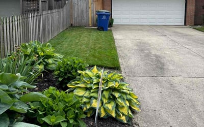 Photo of Samantha W.'s yard after getting landscaping in Columbus, OH