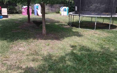Photo of Sherri K.'s yard after getting landscaping in Greenwood, TX