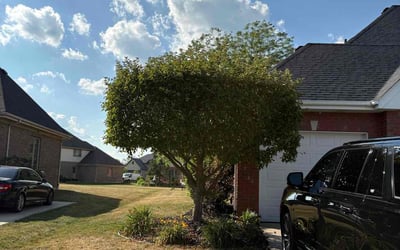 Photo of Tomeka H.'s yard after getting landscaping in Frankfort, IL