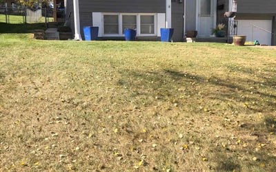 Photo of Megan K.'s yard after getting landscaping in Plattsmouth, NE