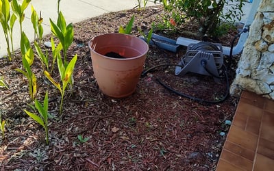 Photo of Brenda H.'s yard after getting landscaping in Lake Monroe, FL