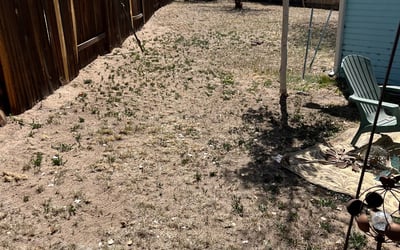 Photo of Michael P.'s yard after getting landscaping in Woodland Park, CO
