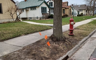 Photo of Krista V.'s yard after getting landscaping in Carver, MN