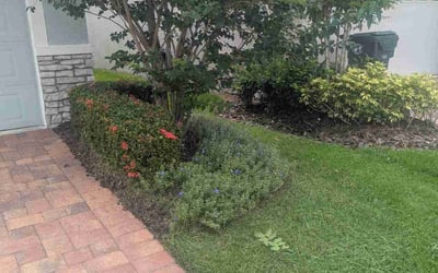 Photo of Melissa G.'s yard after getting landscaping in Kissimmee, FL