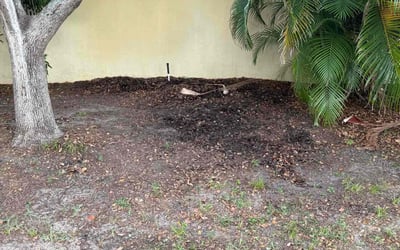 Photo of Miranda T.'s yard after getting landscaping in Clermont, FL