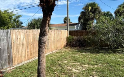 Photo of Ronald H.'s yard after getting tree care in Satellite Beach, FL