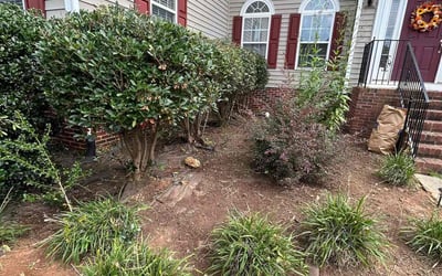 Photo of Amy N.'s yard after getting landscaping in Heath Springs, SC