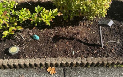 Photo of Vinod R.'s yard after getting landscaping in Bothell, WA