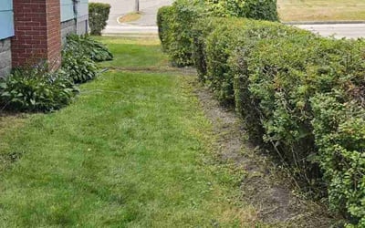 Photo of Megan K.'s yard after getting lawn care in Portland, ME