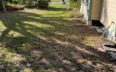 Photo of Liz S.'s yard after getting landscaping in Englewood, FL