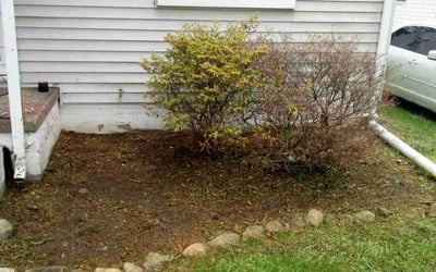 Photo of Jennifer C.'s yard after getting tree care in Orient, OH