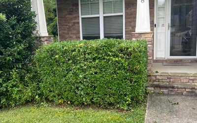 Photo of Kathryn G.'s yard after getting landscaping in Holly Springs, NC