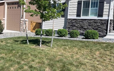 Photo of Traci D.'s yard after getting landscaping in Strasburg, CO