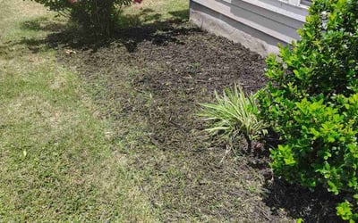 Photo of Blake H.'s yard after getting landscaping in San Marcos, TX