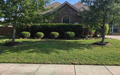 Photo of Angie D.'s yard after getting landscaping in Royse City, TX