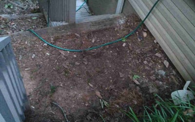 Photo of Camillus J.'s yard after getting tree care in Clarkston, GA