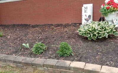 Photo of Anita C.'s yard after getting landscaping in Crooksville, OH