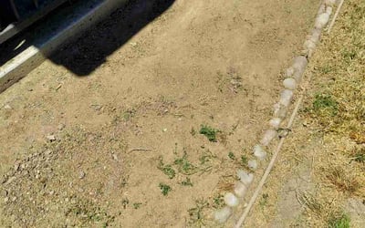 Photo of Karla R.'s yard after getting landscaping in Lathrop, CA