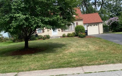 Photo of Michael S.'s yard after getting landscaping in Hilton, NY