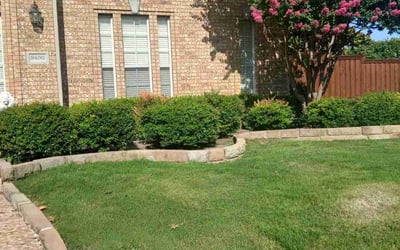Photo of Mary M.'s yard after getting landscaping in Plano, TX