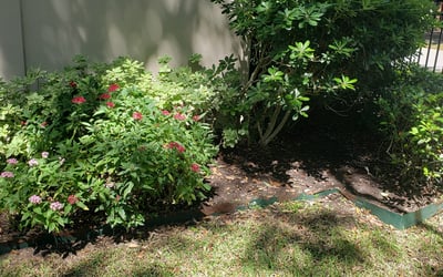 Photo of Catherine C.'s yard after getting landscaping in Hull, TX