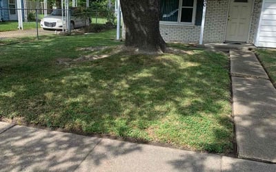 Photo of James G.'s yard after getting landscaping in Grandy, NC