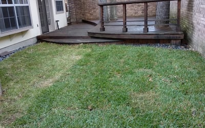 Photo of Jennifer L.'s yard after getting landscaping in Guy, TX