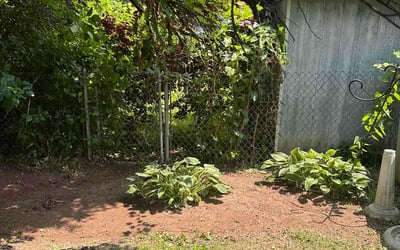 Photo of Scott M.'s yard after getting landscaping in New Castle, DE