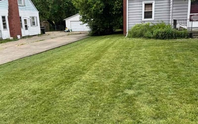 Photo of Christy B.'s yard after getting landscaping in Hamilton, OH