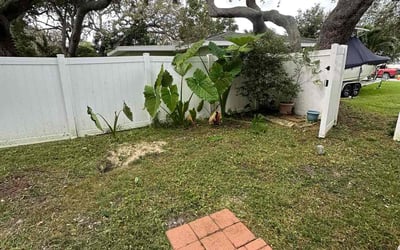 Photo of Barbara H.'s yard after getting tree care in Durant, FL