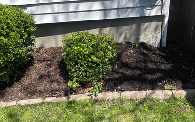 Photo of Jonathan L.'s yard after getting landscaping in Oberlin, OH