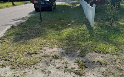 Photo of Marie K.'s yard after getting landscaping in Gibsonton, FL