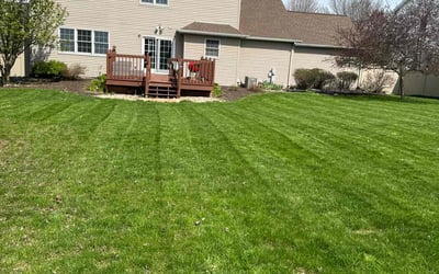 Photo of Kay H.'s yard after getting lawn care in Sun Prairie, WI