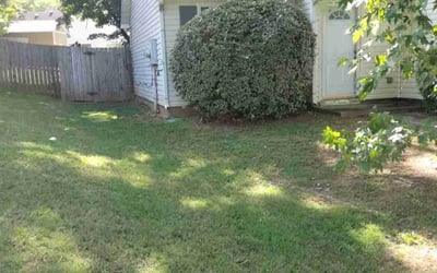 Photo of Demetris B.'s yard after getting tree care in Fairburn, GA