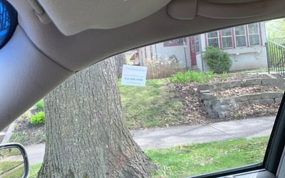 Photo of Steve J.'s yard after getting landscaping in Victoria, MN