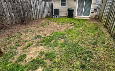 Photo of Danielle B.'s yard after getting landscaping in Lovettsville, VA