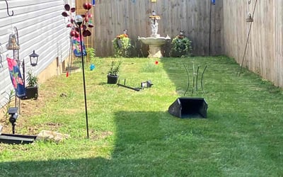 Photo of Anita H.'s yard after getting landscaping in Fairfield, OH