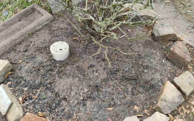 Photo of Jason M.'s yard after getting landscaping in Richmond, TX