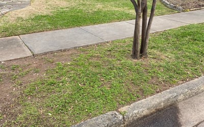 Photo of Alison K.'s yard after getting landscaping in Bowling Green, SC