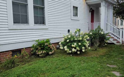 Photo of Samantha R.'s yard after getting landscaping in Diggs, VA