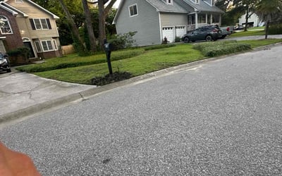 Photo of Sean L.'s yard after getting landscaping in Charleston, SC