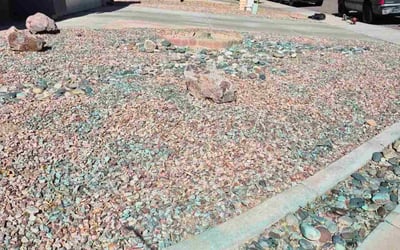 Photo of Aaron L.'s yard after getting landscaping in Phoenix, AZ