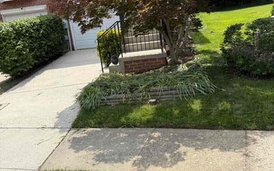 Photo of Jack E.'s yard after getting landscaping in Columbia, MD