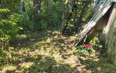 Photo of Ron H.'s yard after getting landscaping in Cincinnati, OH