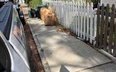 Photo of Kate S.'s yard after getting landscaping in Tampa, FL