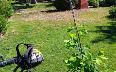 Photo of John M.'s yard after getting landscaping in Deer Trail, CO