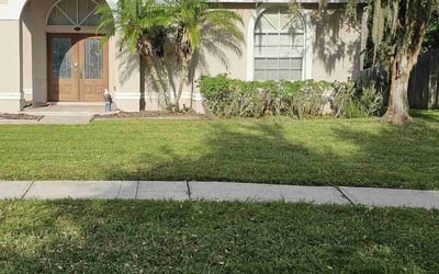 Photo of Yvonne M.'s yard after getting lawn care in Palm Harbor, FL