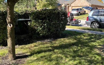 Photo of Jason K.'s yard after getting tree care in Round Rock, TX