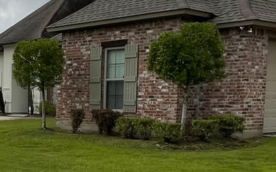 Photo of Chris P.'s yard after getting landscaping in Saint Amant, LA